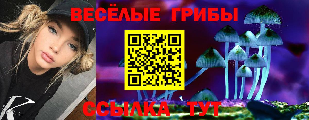 Псилоцибиновые грибы MAGIC MUSHROOMS Каспийск