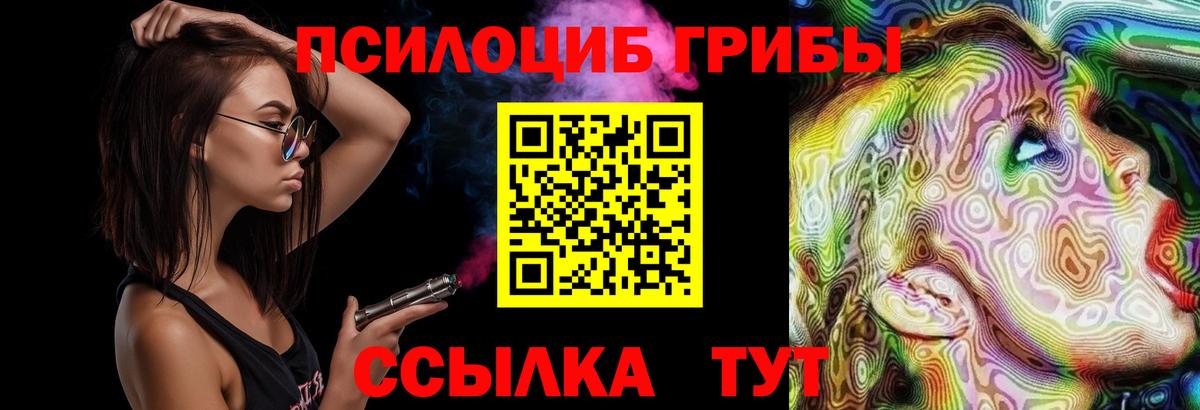 Каспийск  Псилоцибиновые грибы Cubensis  Вход с VPN 